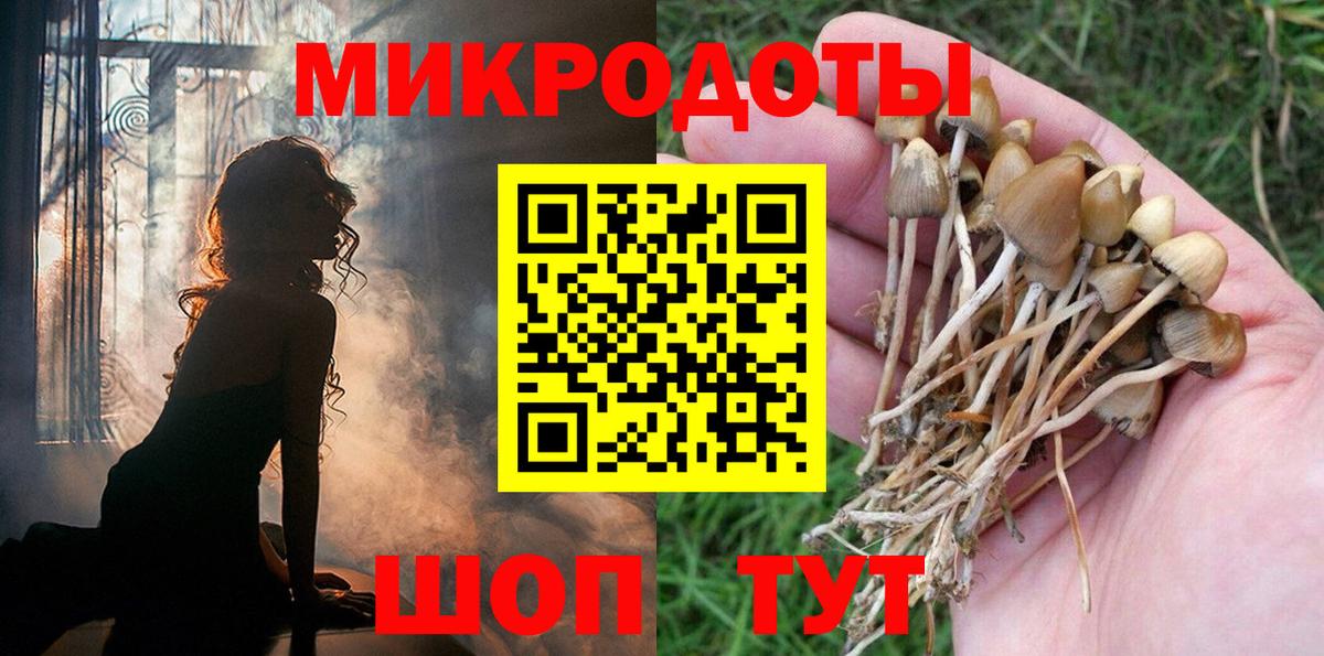 Галлюциногенные грибы Psilocybe  Вход с VPN  Пушкино 