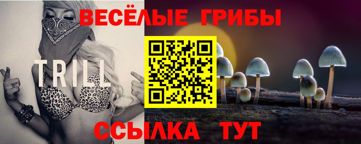 Псилоцибиновые грибы Magic Shrooms Пушкино